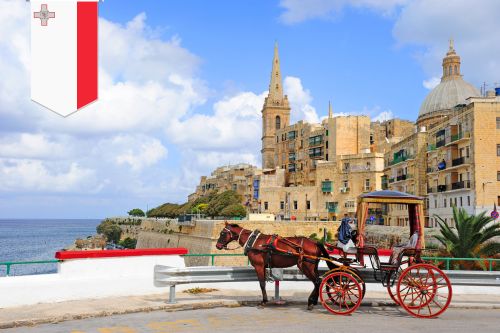 Study In New Malta Guide